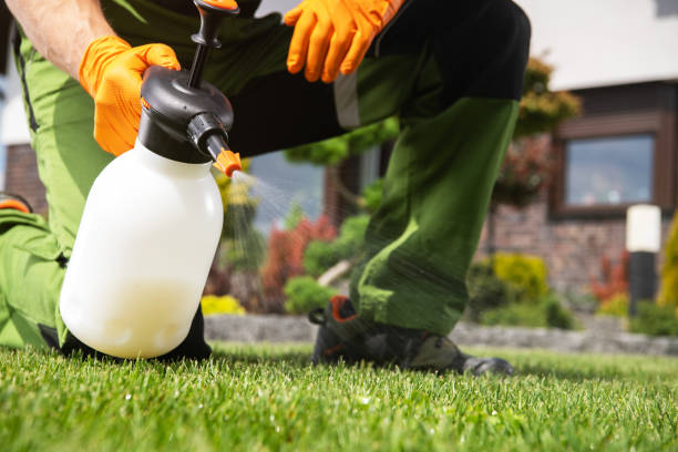 Best Affordable Pest Control Services  in Bolivar, WV